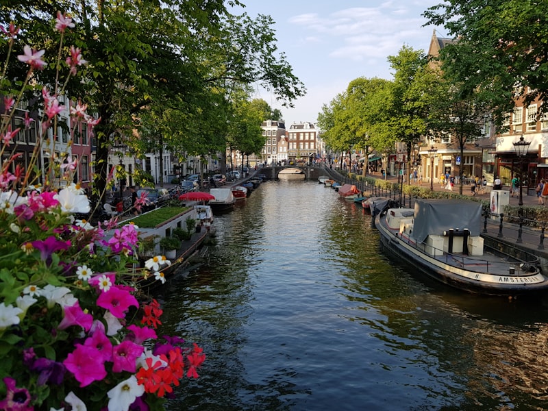 Amsterdam - Paryż - Drezno - zdjęcie 3