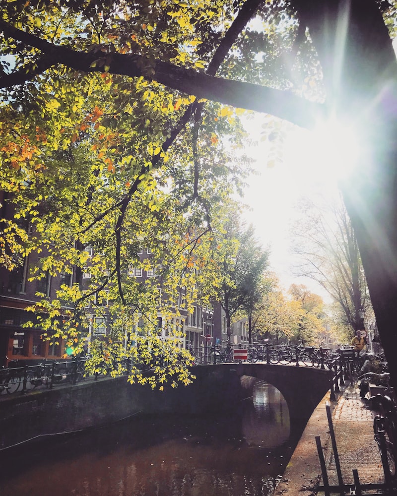 Amsterdam - Paryż - Drezno - zdjęcie 6
