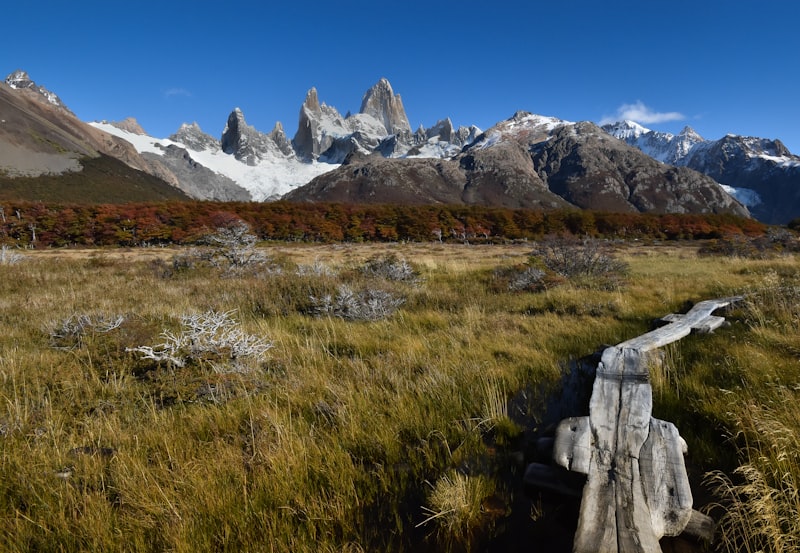 Argentyna - Buenos Aires i Patagonia - zdjęcie 6