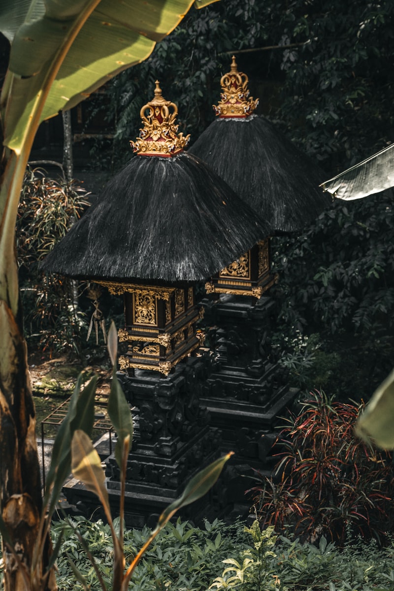 Bali - Wyspa Bogów - zdjęcie 5