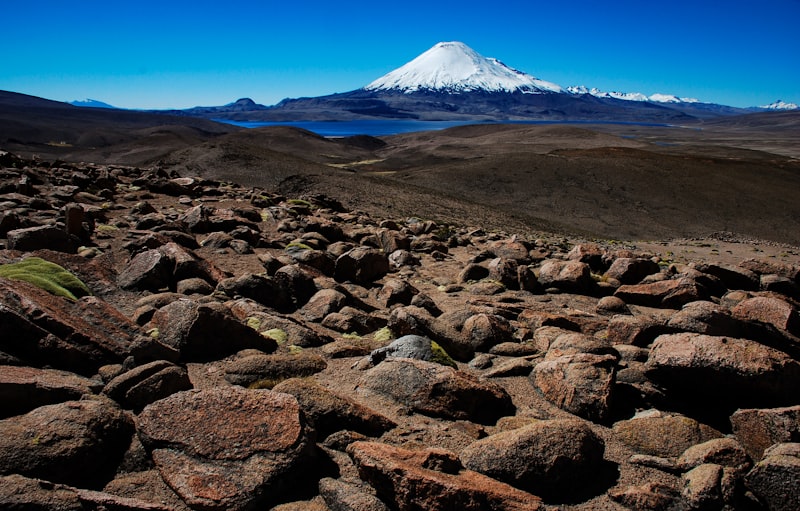 Chile - Atacama i Patagonia - zdjęcie 3