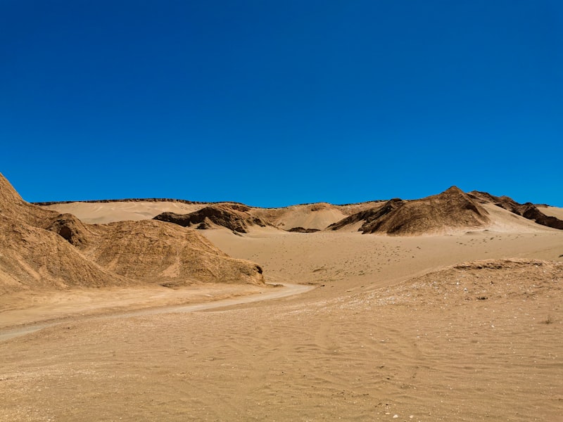 Chile - Atacama i Patagonia - zdjęcie 4
