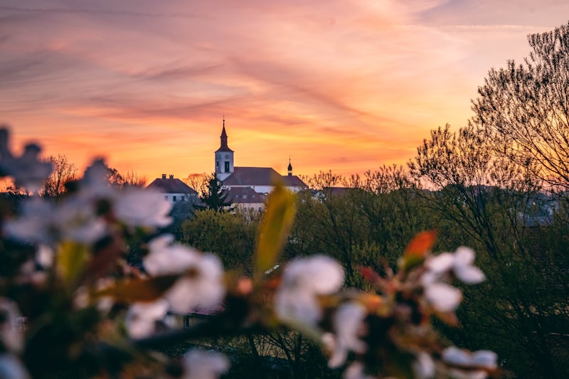 Festiwal Kwitnących Migdałowców - zdjęcie 3