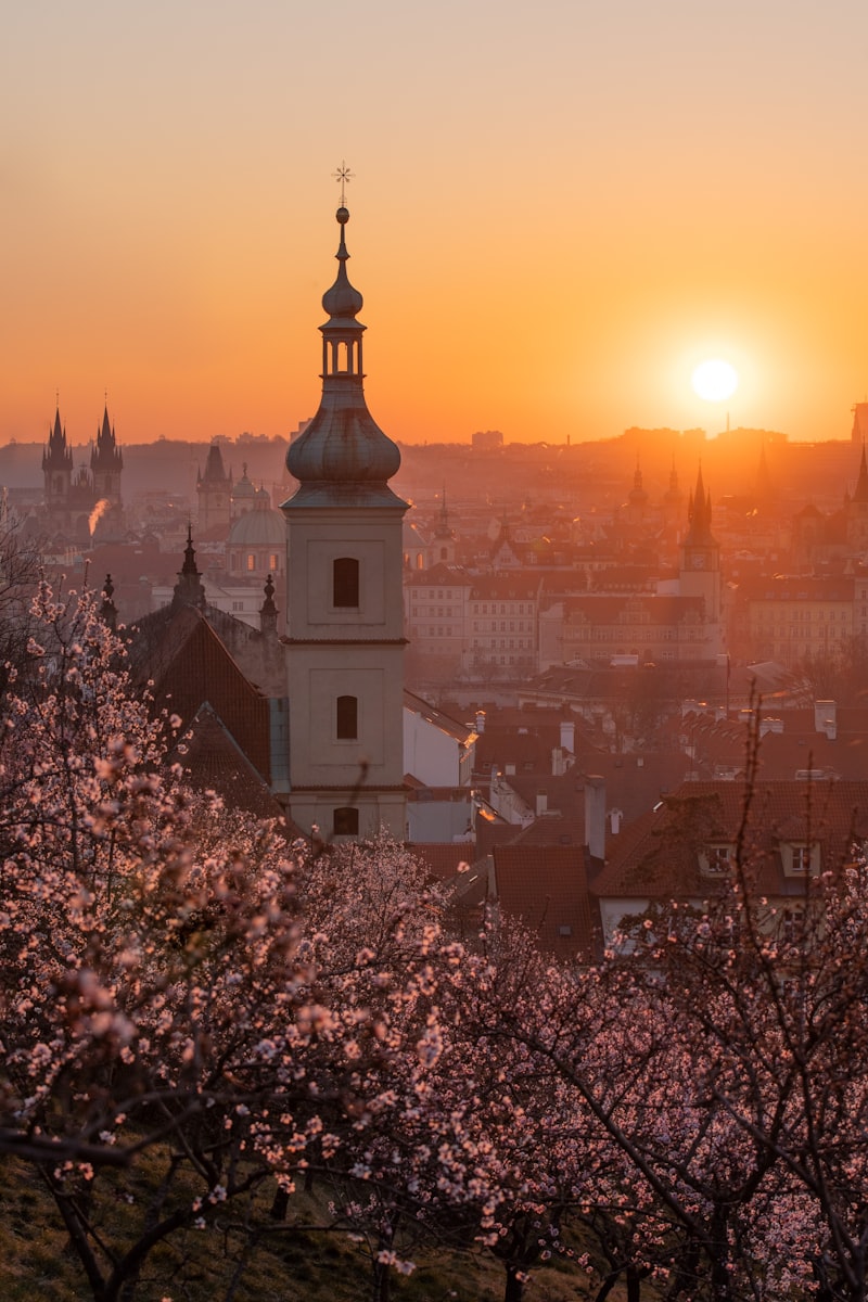 Festiwal Kwitnących Migdałowców - zdjęcie 4