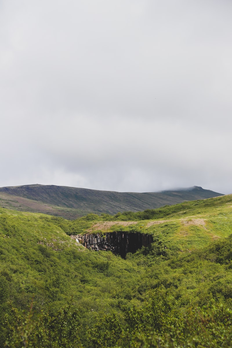 Islandia latem - Natura bez granic - zdjęcie 2