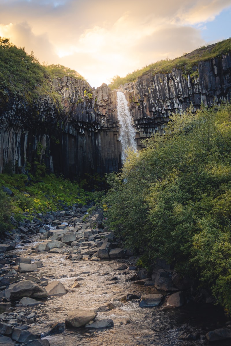 Islandia latem - Natura bez granic - zdjęcie 5