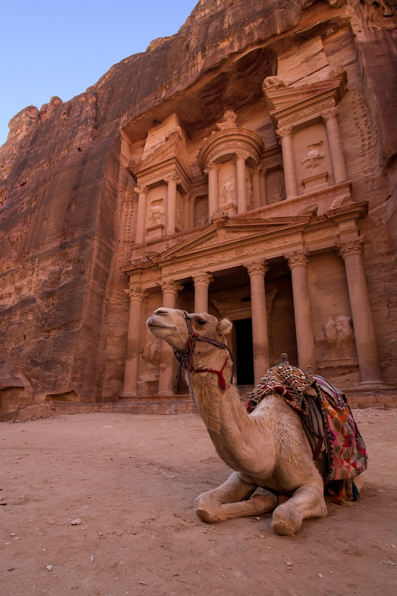 Jordania - Petra i Morze Martwe - zdjęcie 5