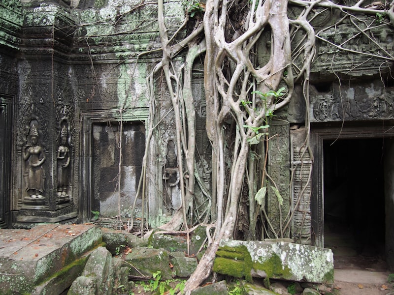 Kambodża - Angkor Wat - zdjęcie 3