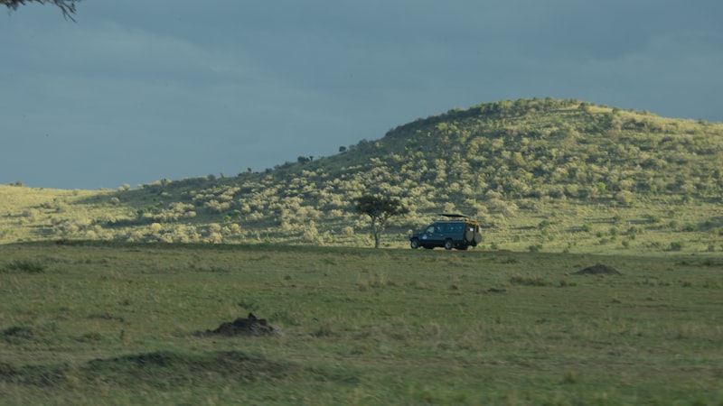 Kenia - Safari - zdjęcie 2