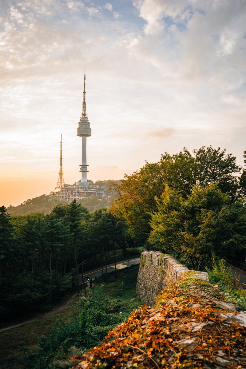 Korea Południowa - Seul i Świątynie - zdjęcie 5