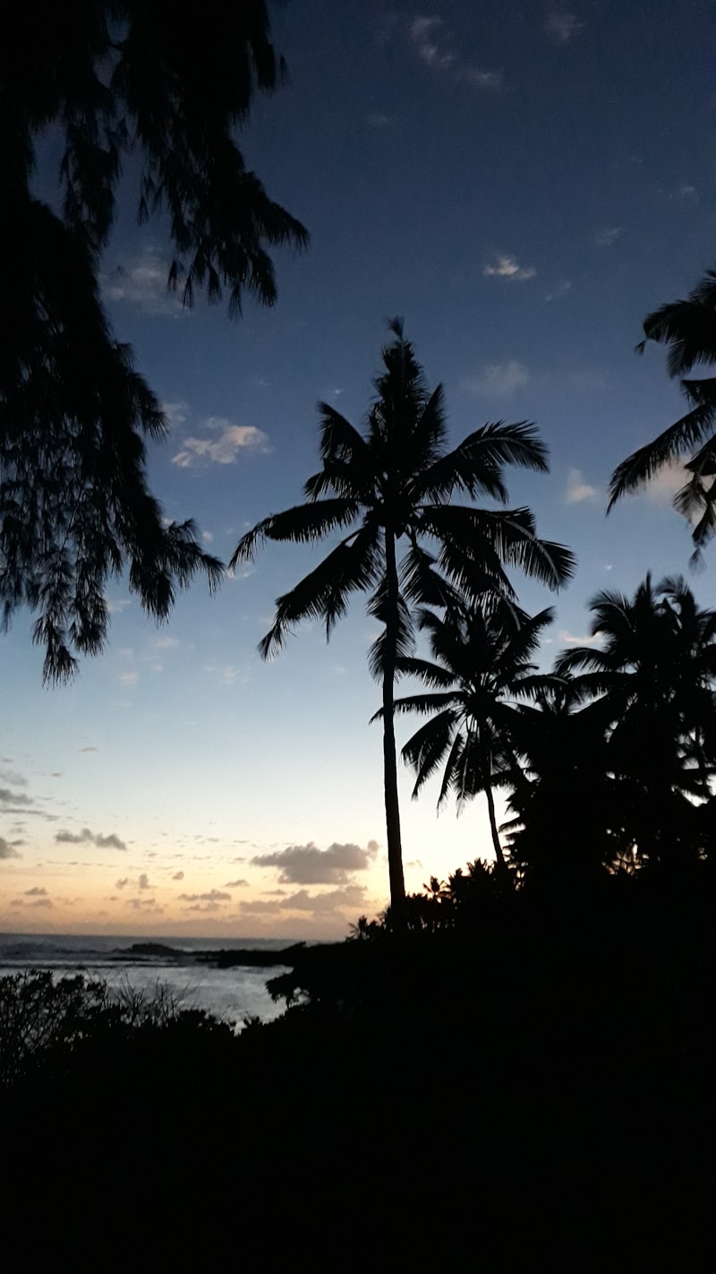 Mauritius - Tropikalna Perła - zdjęcie 5