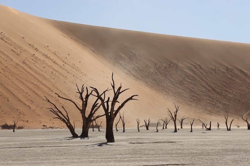 Namibia - Pustynie i Przyroda - zdjęcie 6