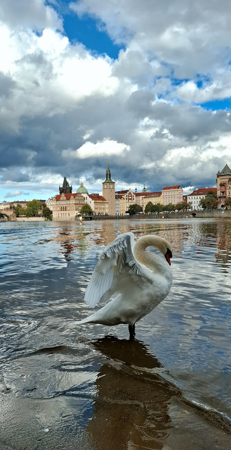 Praga z rejsem i obiadokolacją - zdjęcie 4