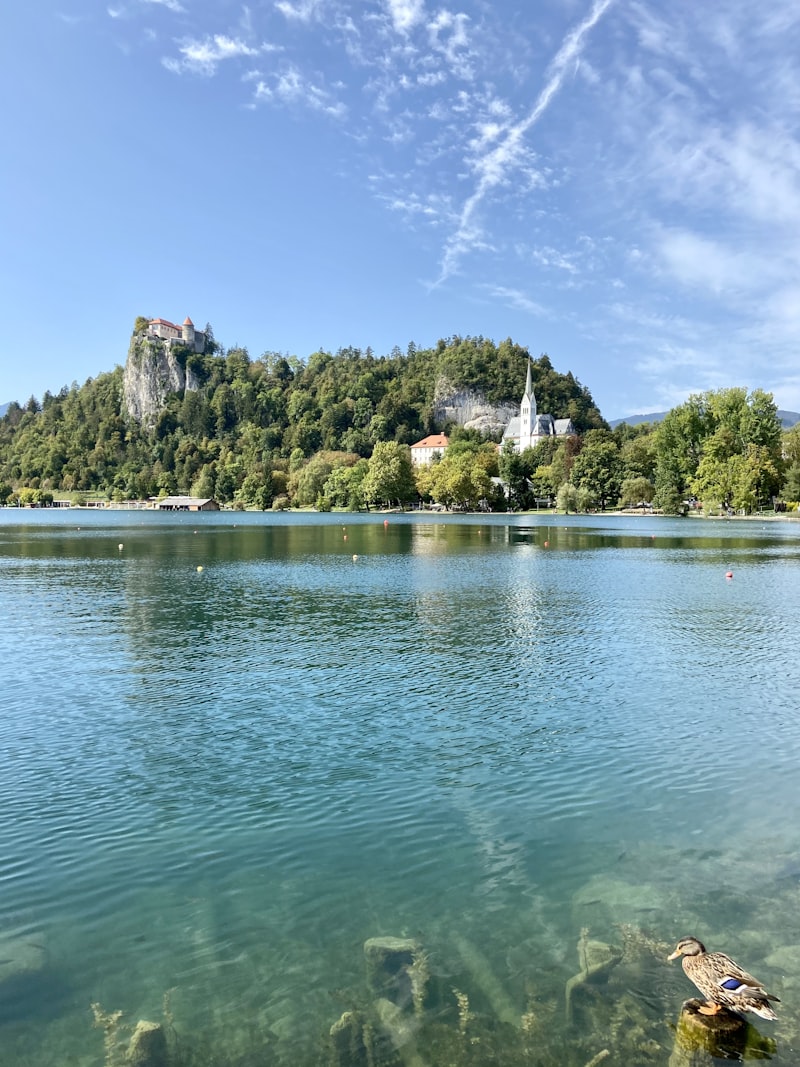 Słowenia - Bled i Postojna - zdjęcie 2