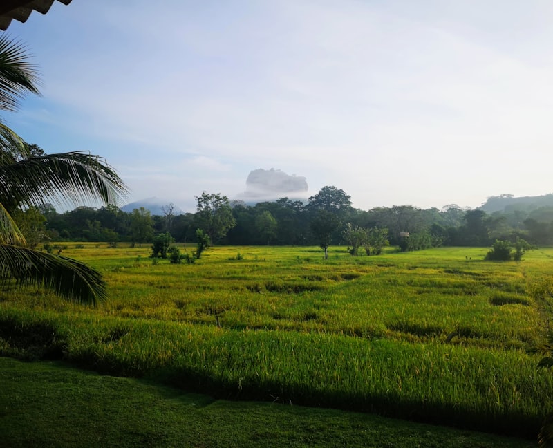 Sri Lanka - Perła Oceanu - zdjęcie 2
