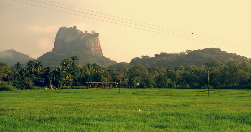 Sri Lanka - Perła Oceanu - zdjęcie 4