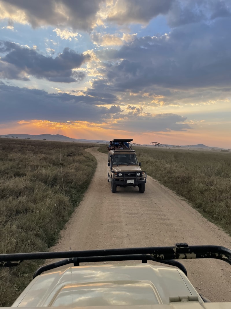 Tanzania - Safari i Zanzibar - zdjęcie 4