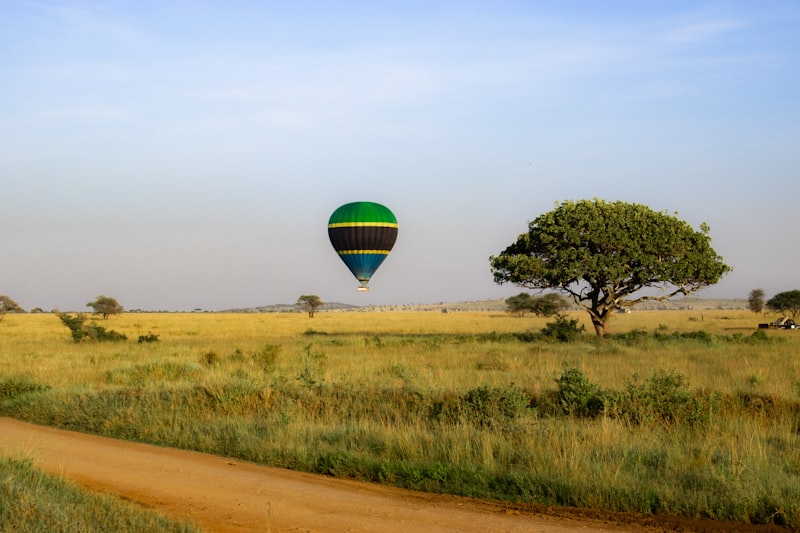 Tanzania - Safari i Zanzibar - zdjęcie 5